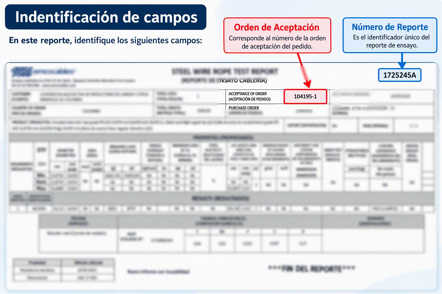 Ejemplo para localizar los datos de un reporte de ensayo